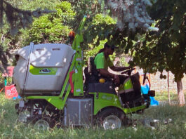 Una máquina cortacésped este jueves por la mañana en el Parque del Norte