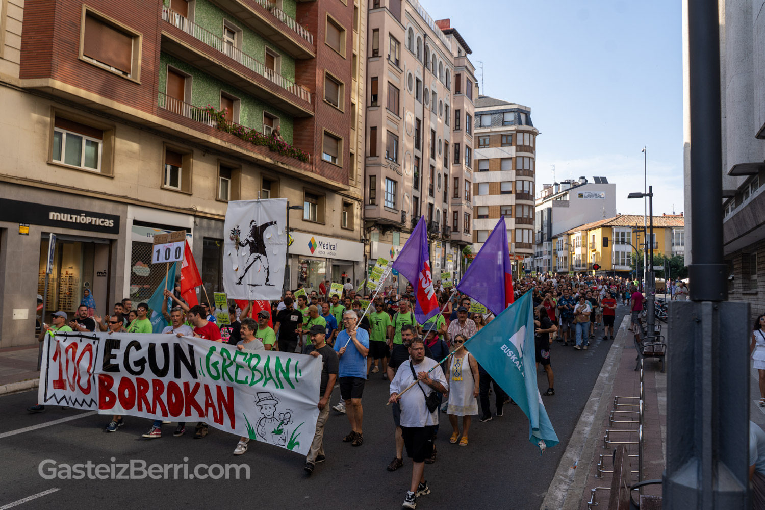 huelga jardineros vitoria-gasteiz 100 dias manifestacion enviser-18