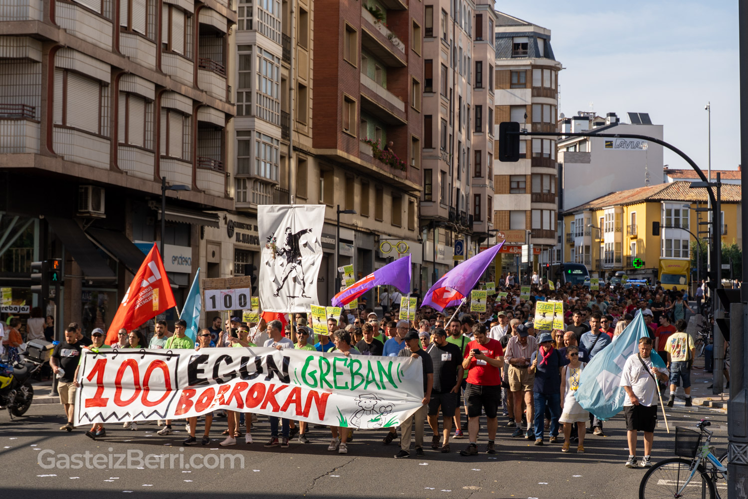 huelga jardineros vitoria-gasteiz 100 dias manifestacion enviser-18