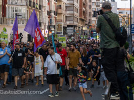 huelga jardineros vitoria-gasteiz 100 dias manifestacion enviser-18