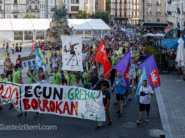 huelga jardineros vitoria-gasteiz 100 dias manifestacion enviser-18