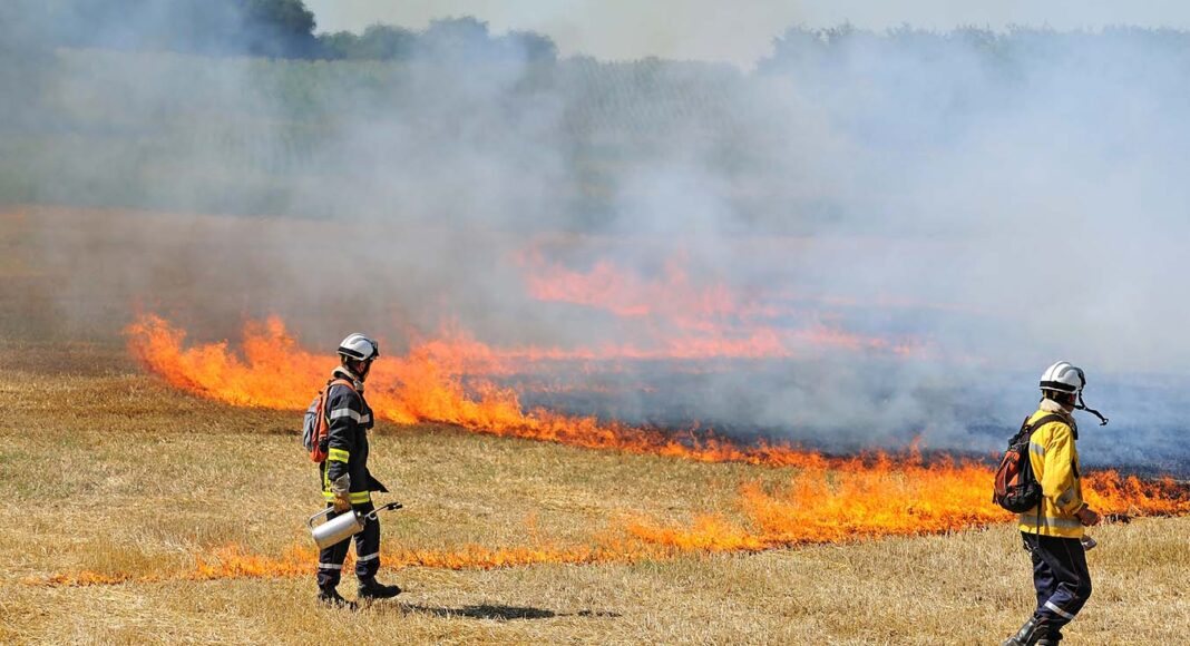 Foto de un incendio en una zona de monte o campo y unos bomberos actuando para controlarlo