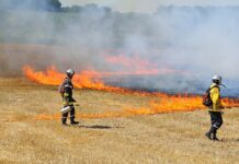 Foto de un incendio en una zona de monte o campo y unos bomberos actuando para controlarlo