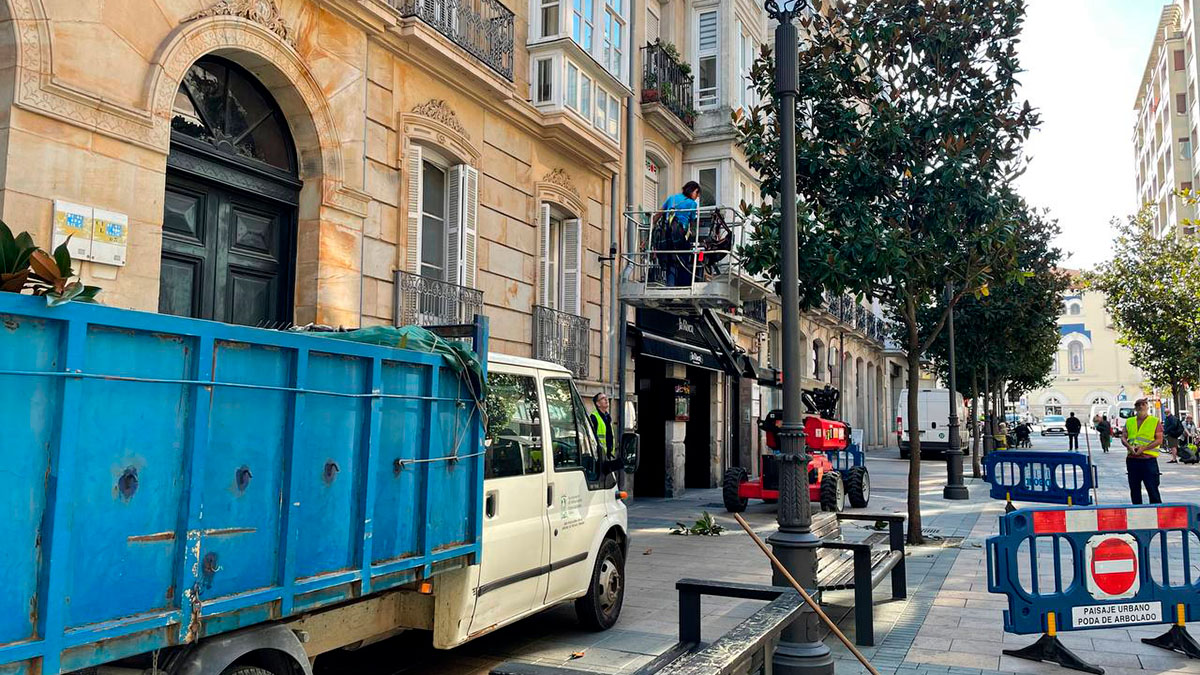 PODA DATO 1 poda de árboles en la calle Dato