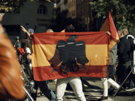 Una persona que participaba en la manifestación de Falange del domingo portando una bandera preconstitucional en el centro de Vitoria-Gasteiz.