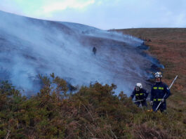 Imagen de una de las zonas incendiadas en la Sierra de Elgea