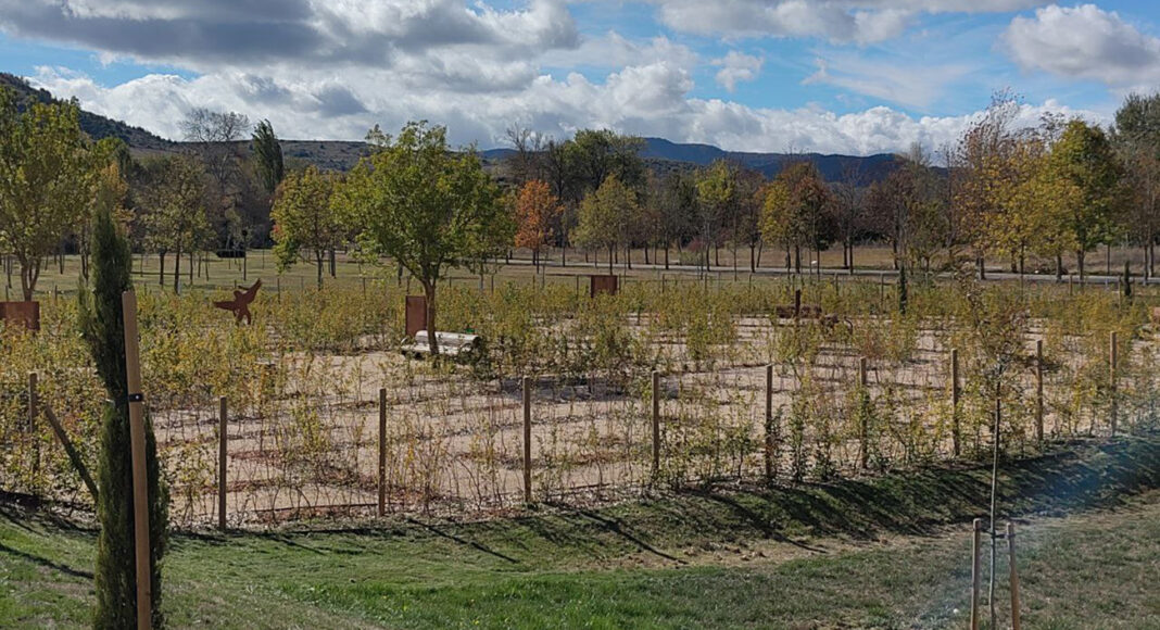 laberinto vegetal de Olarizu