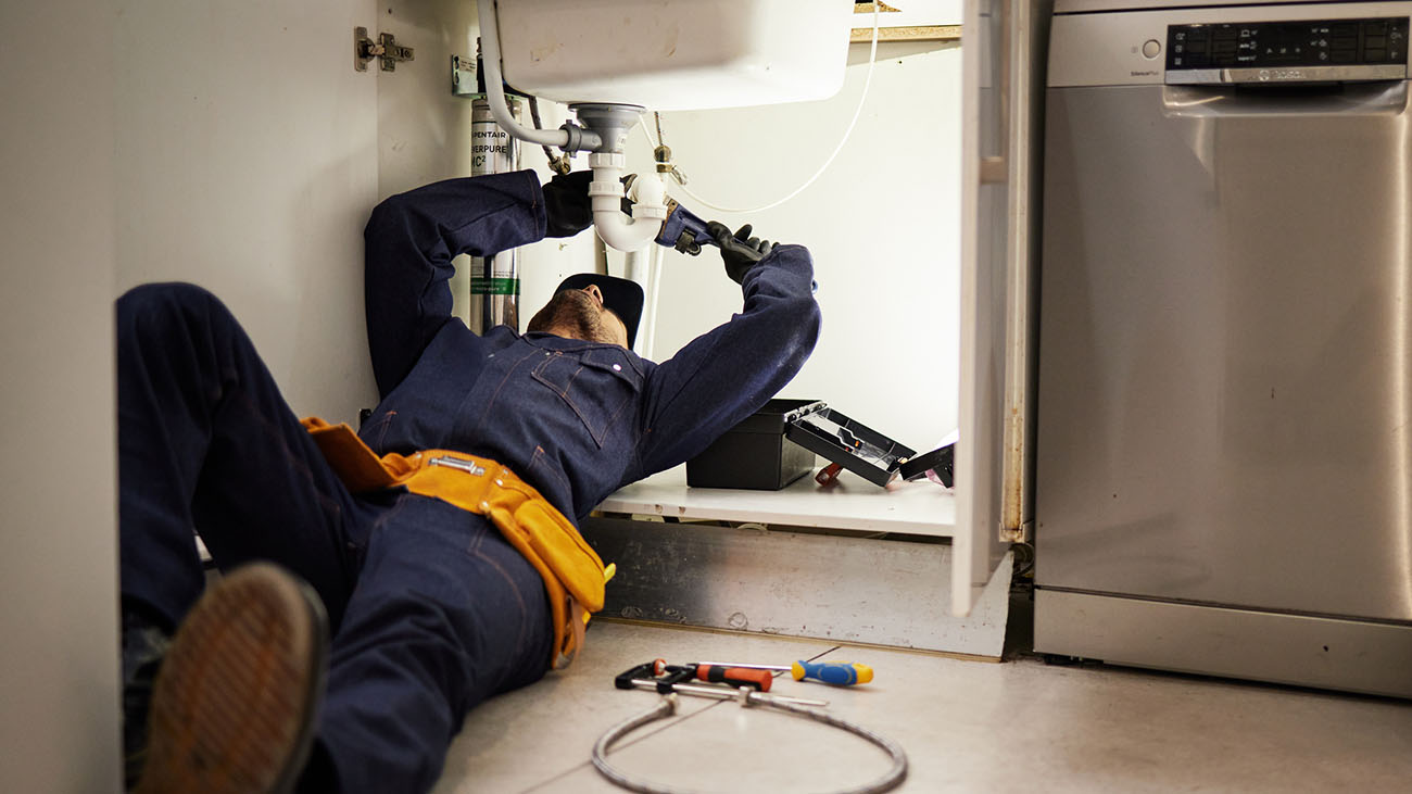 trabajador autonomo