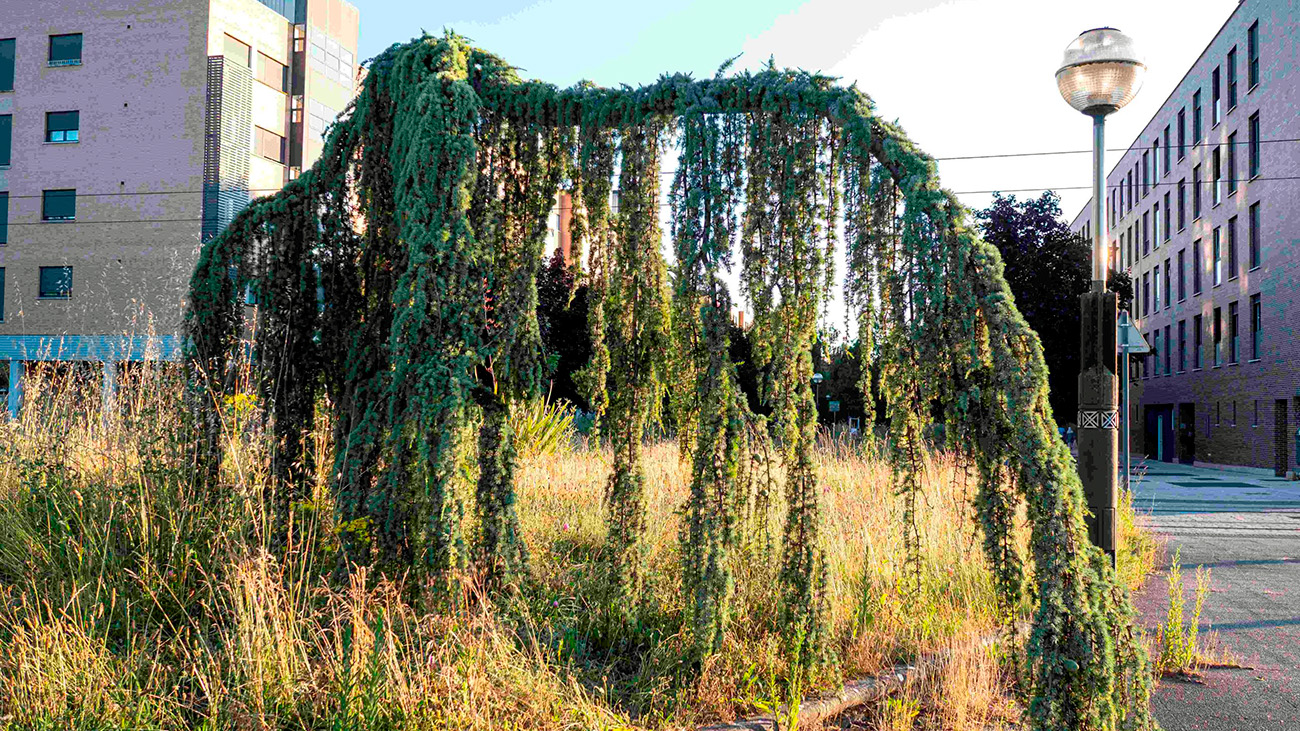 Montehermoso la exposición Anillo verde Miradas divergentes
