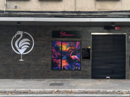 El Ayuntamiento detecta irregularidades en la actividad de la discoteca Flamingo discoteca Flamingo