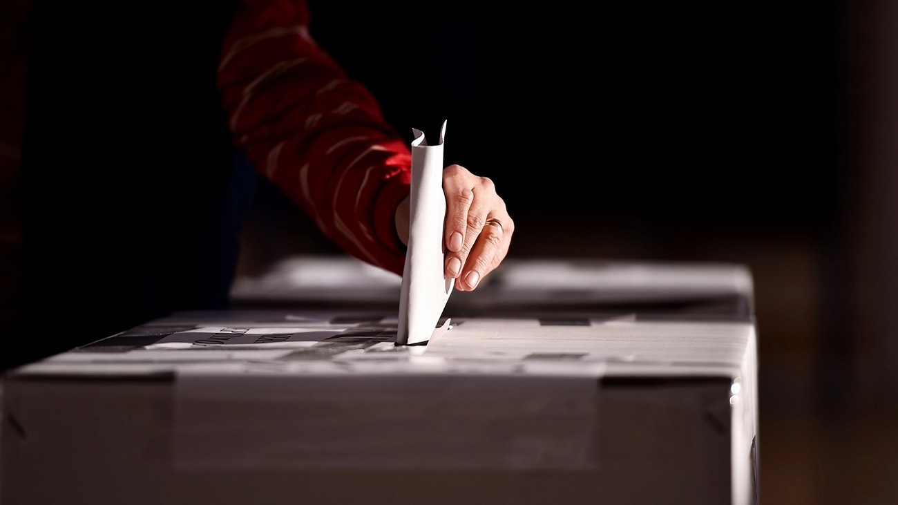 Elecciones de Concejos