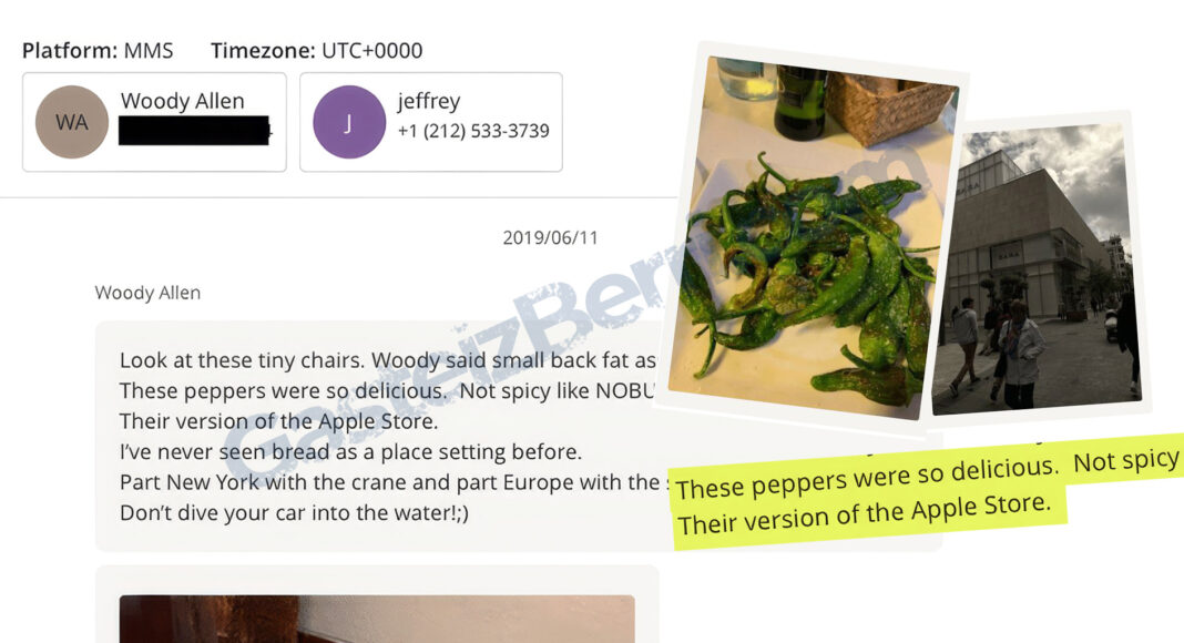 epstein donostia woody allen