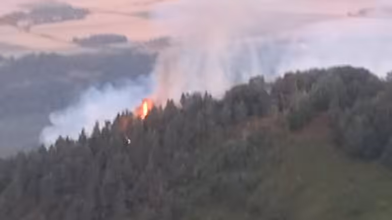 El incendio de Zalduondo avanza ladera abajo y los bomberos trabajan para frenarlo desde el flanco oeste