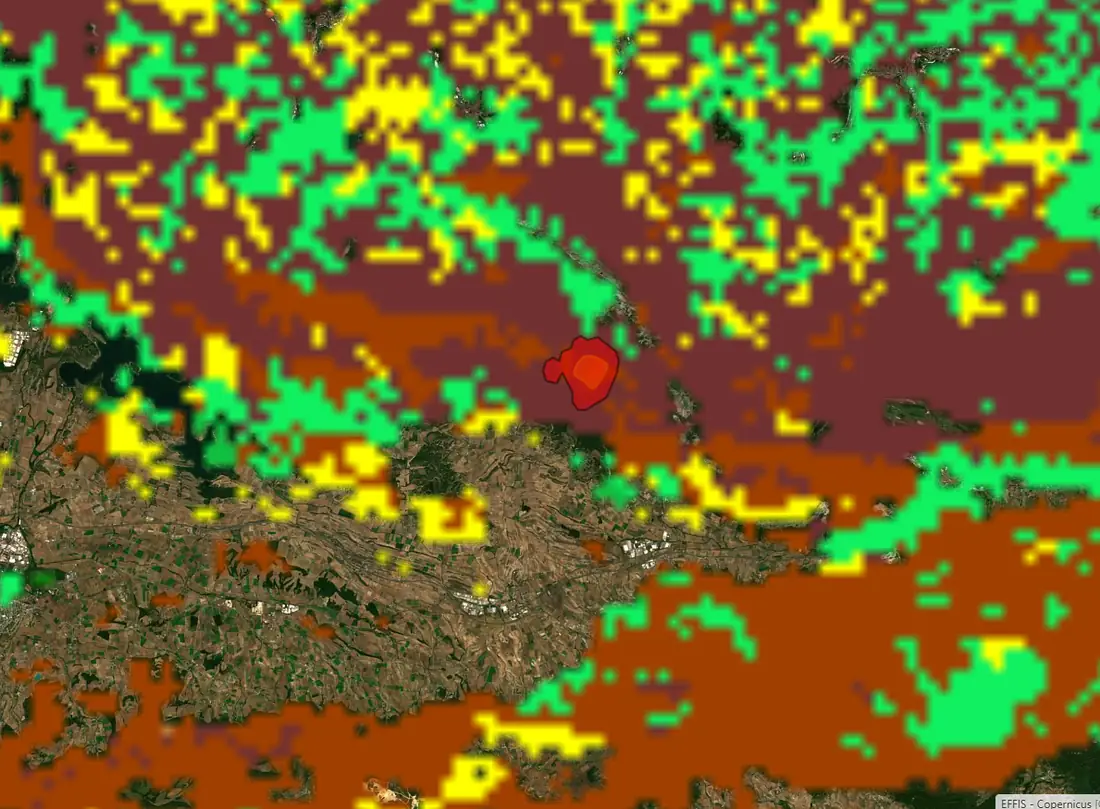 Visor de Copernicus EFFIS, Combustible (FUELS), incendio de Galarreta